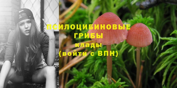 трава Абдулино